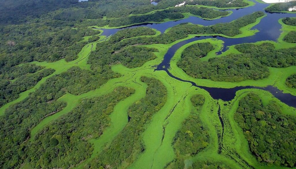 parque nacional de anavilhanas credits lincoln barbosa