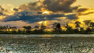 pantanal mato grosso por do sol turismo sustentavel brasil credits filipefrazao