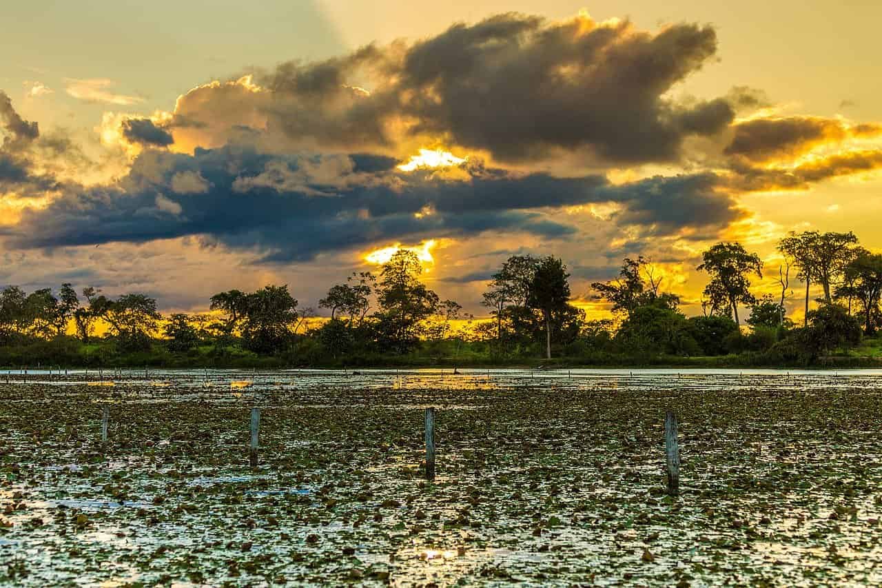 pantanal mato grosso por do sol turismo sustentavel brasil credits filipefrazao pantanal mato grosso por do sol turismo sustentavel brasil credits filipefrazao